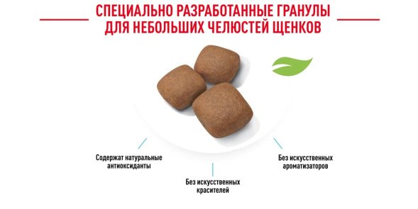 Royal Canin Giant Junior - Сухой корм для щенков гигантских пород с 8 до 18/24 месяцев