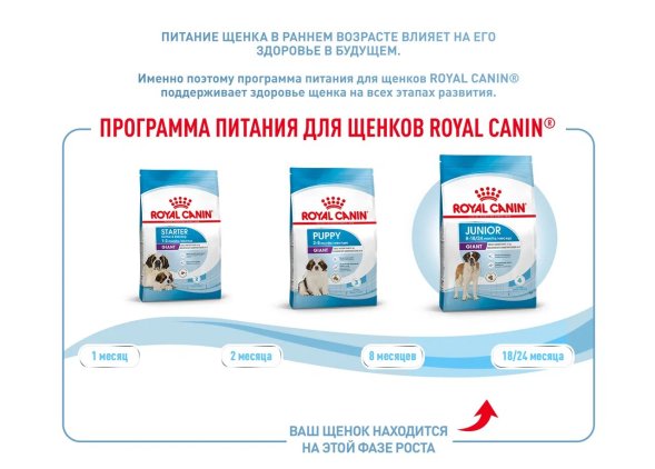 Royal Canin Giant Junior - Сухой корм для щенков гигантских пород с 8 до 18/24 месяцев