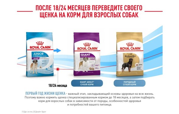 Royal Canin Giant Junior - Сухой корм для щенков гигантских пород с 8 до 18/24 месяцев