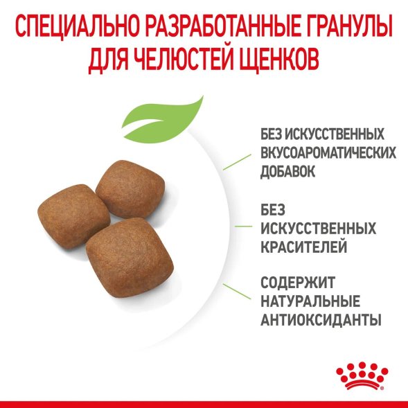 Royal Canin Giant Junior - Сухой корм для щенков гигантских пород с 8 до 18/24 месяцев