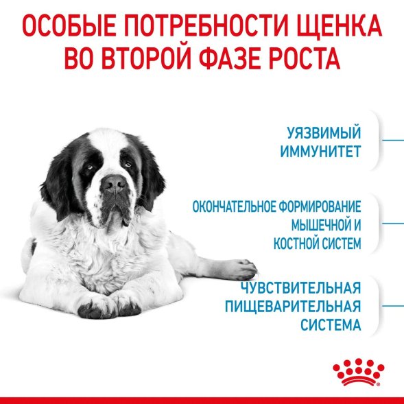 Royal Canin Giant Junior - Сухой корм для щенков гигантских пород с 8 до 18/24 месяцев