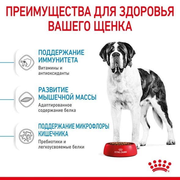Royal Canin Giant Junior - Сухой корм для щенков гигантских пород с 8 до 18/24 месяцев