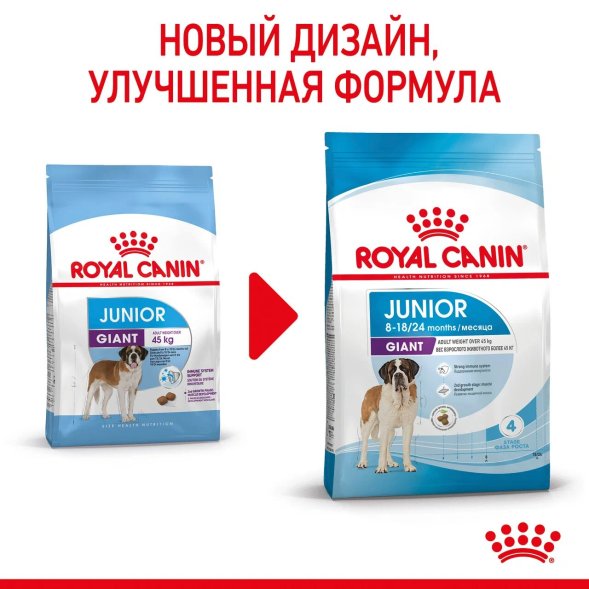 Royal Canin Giant Junior - Сухой корм для щенков гигантских пород с 8 до 18/24 месяцев