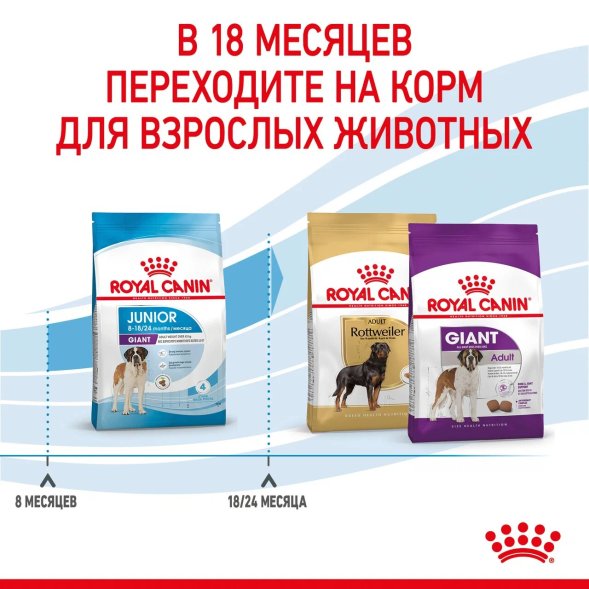 Royal Canin Giant Junior - Сухой корм для щенков гигантских пород с 8 до 18/24 месяцев