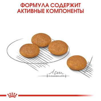 Royal Canin Mini Dermacomfort - Корм для собак мелких пород, склонных к кожным раздражениям и зуду