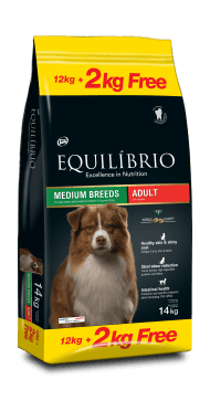 Equilibrio Adult Medium Breed - Сухой корм для средних пород собак, с птицей