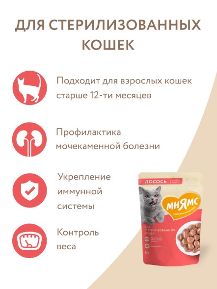 Мнямс - Пауч для стерилизованных кошек, кусочки в соусе с лососем 85г
