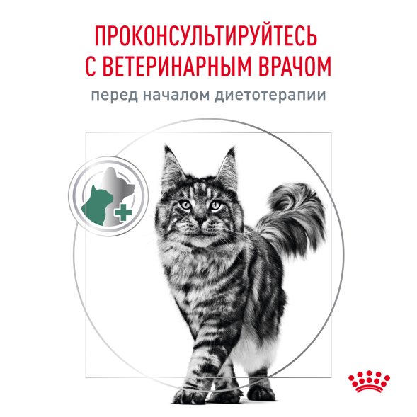 Royal Canin Satiety Management 30 - Паучи для кошек &amp;quot;Контроль веса&amp;quot;