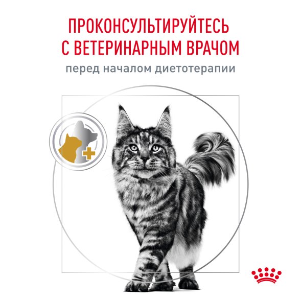 Royal Canin Urinary S/O - Влажный корм для кошек при мочекаменной болезни в соусе 85гр