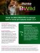 Monge BWild Anchovies Grain Free - Беззерновой корм для кошек, с лососем и горохом 1,5 кг