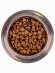 Monge Medium Puppy & Junior - Сухой корм для щенков средних пород