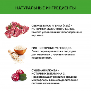 Holistoff - Сухой корм для взрослых собак и щенков средних и мелких пород, с Ягненком и Рисом