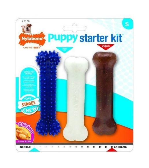 10734.580 Nylabone Puppy Starter Kit - Startovii nabor dlya shenkov kypit v zoomagazine «PetXP» Nylabone Puppy Starter Kit - Стартовый набор для щенков