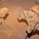 JBL ReptilCava SAND XL - Пещера для террариумных животных, песочная