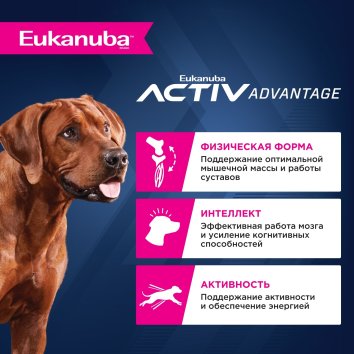 Eukanuba 7+ - Сухой корм для пожилых собак крупных пород