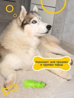 Fancy Pets - Игрушка для животных "Крокодил"