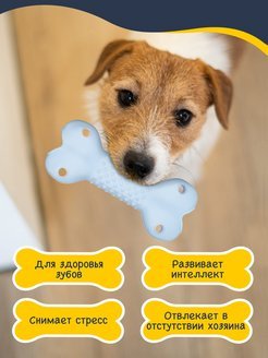 Fancy Pets - Игрушка для животных "Косточка"