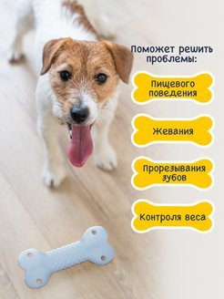 Fancy Pets - Игрушка для животных "Косточка"