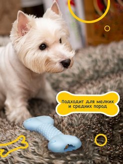 Fancy Pets - Игрушка для животных "Косточка"