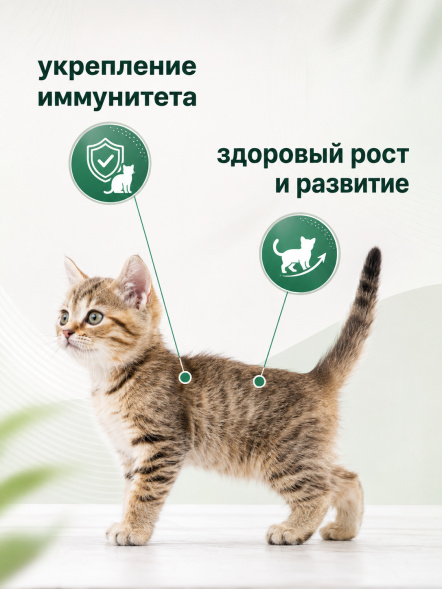 Organix - паучи для котят, индейка в соусе, 85 г