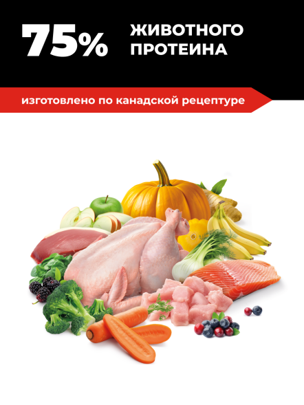 Go&amp;#039;Kitchen - Беззерновой корм для котят и кошек всех возрастов с курицей, индейкой, лососем и уткой