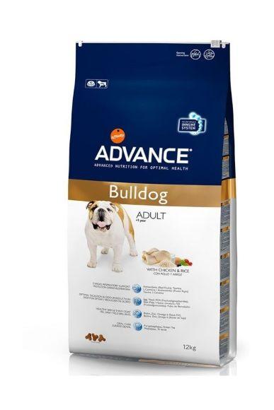 advance-bulldog.jpg