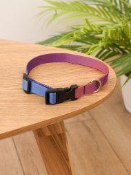 PetSHOP - Ошейник нейлоновый для собак, Сулус