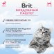 Brit - Воздушный паштет для стерилизованных кошек, с Кроликом, 100 гр
