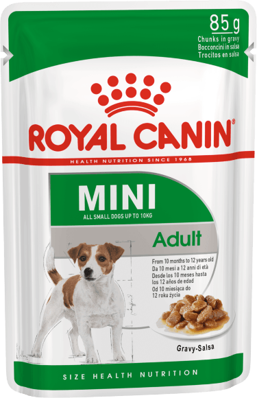 14737.580 Royal Canin Mini Adult - Paychi dlya vzroslih sobak malih porod 85gr kypit v zoomagazine «PetXP» Royal Canin Mini Adult - Паучи для взрослых собак малых пород 85гр