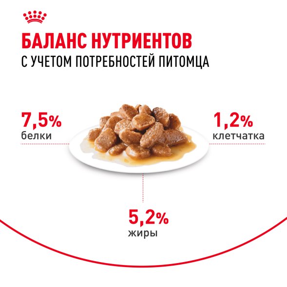 Royal Canin Mini Adult - Паучи для взрослых собак малых пород, в соусе 85гр