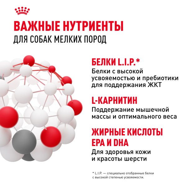 Royal Canin Mini Adult - Паучи для взрослых собак малых пород, в соусе 85гр