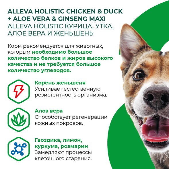 Alleva Холистик - Сухой беззерновой корм для взрослых собак крупных пород, Курица с Уткой, Алоэ Вера и Женьшенем