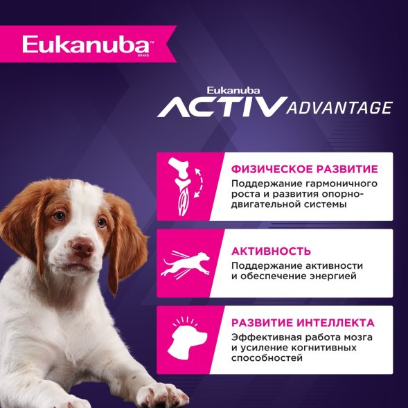 Eukanuba - Сухой корм для щенков средних пород