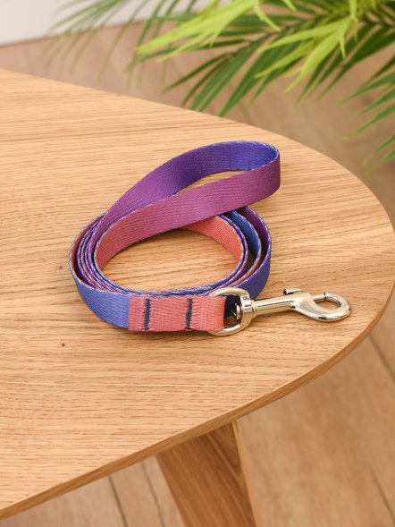 PetSHOP - Поводок нейлоновый для собак, Сулус