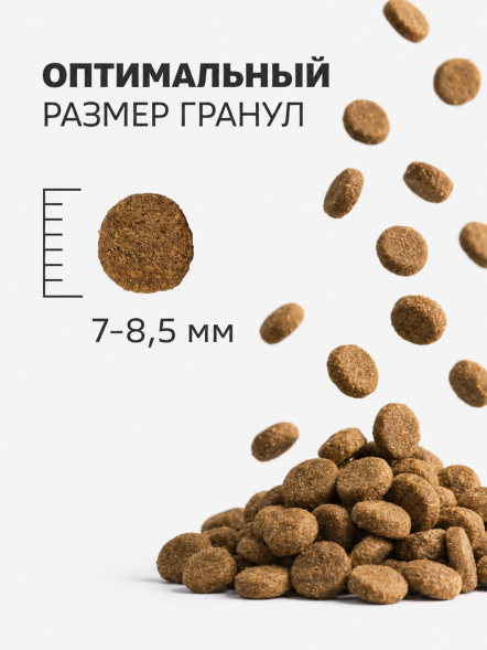 Smart Dog - Сухой корм для щенков всех пород, с Ягненком