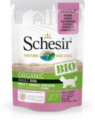 Schesir Bio - Консервы для взрослых собак всех пород, со свининой