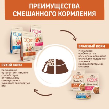 Core Sterilised - Корм для стерилизованных кошек и кастрированных котов, с лососем