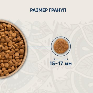 VIDA Nativa - Корм для взрослых собак средних и крупных пород с лососем и тыквой, 20кг