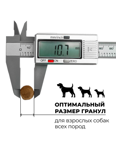 Go&amp;#039;Kitchen Skin + Coat Care - Сухой корм для щенков и собак, лосось с фруктами и овощами