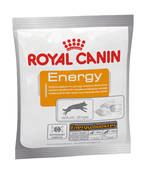 21787.580 Royal Canin Energy - lakomstvo dlya sobak s povishennoi aktivnostu 50gr kypit v zoomagazine «PetXP» Royal Canin Energy - лакомство для собак с повышенной активностью 50гр