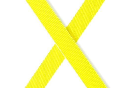 Flexi - Поводок рулетка для собак 3 м до 12 кг, ремень (New Neon XS)