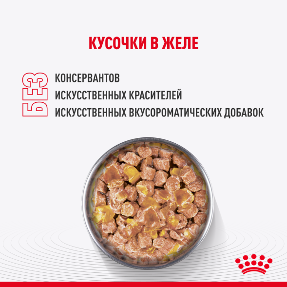 Royal Canin Kitten Sterilized - Паучи для котят после стерилизации (в соусе) 85гр