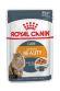 Royal Canin Intense Beauty - Влажный корм для поддержания красоты шерсти кошек, в желе 85гр