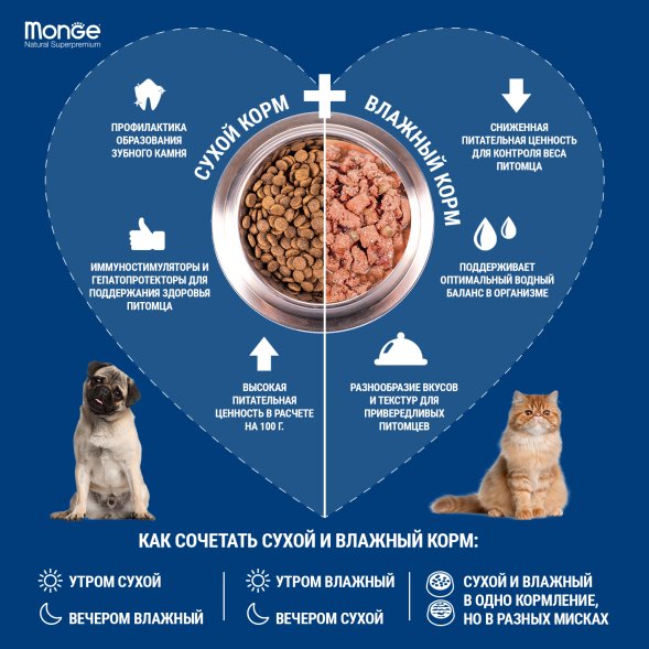 Monge Dog Fresh - Влажный корм для собак с индейкой, консервы 100 г