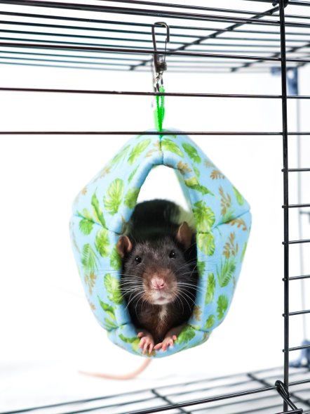 Bambini Pets - Гамак подвесной из фетра, мяч регби для грызунов и хорьков 18*13*13 см