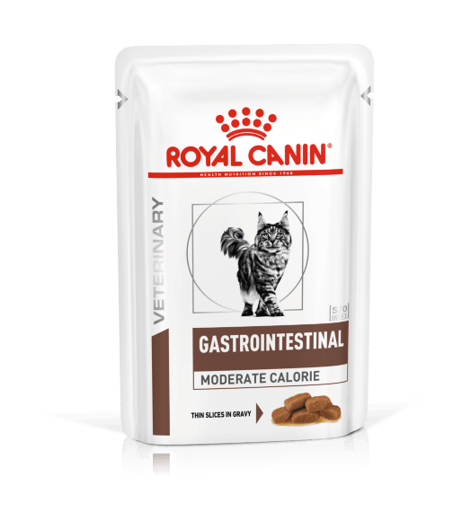 Royal Canin Gastro Intestinal S/O - Влажный корм для кошек при нарушении пищеварения 85гр