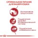 Royal Canin Instinctive - Влажный корм для взрослых кошек в соусе 85гр