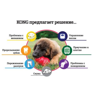 Kong - Игрушка для щенков, Каучук, Розовый/Голубой