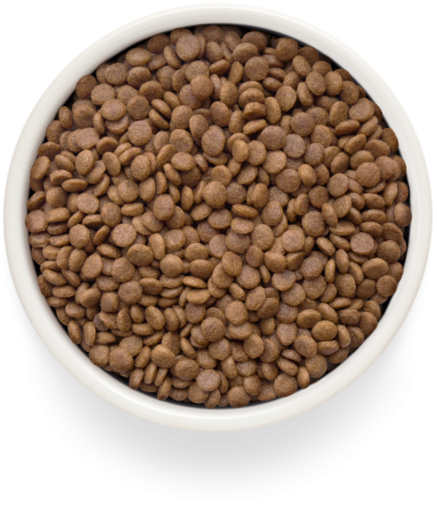 Grandorf Fresh Cat Salmon Sterilised - Сухой корм для стерелизованных кошек, для здоровья кожи и шерсти или склонных к аллергии, с лососем и бататом