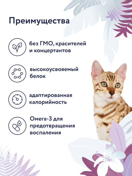 Florida - Паучи для кошек Renal, при Почечной Недостаточности у взрослых и стареющих кошек, 85 гр